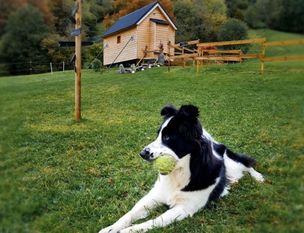 tiny house one airbnb lourdes 10