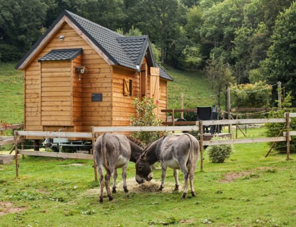 tiny house drone one airbnb lourdes 31